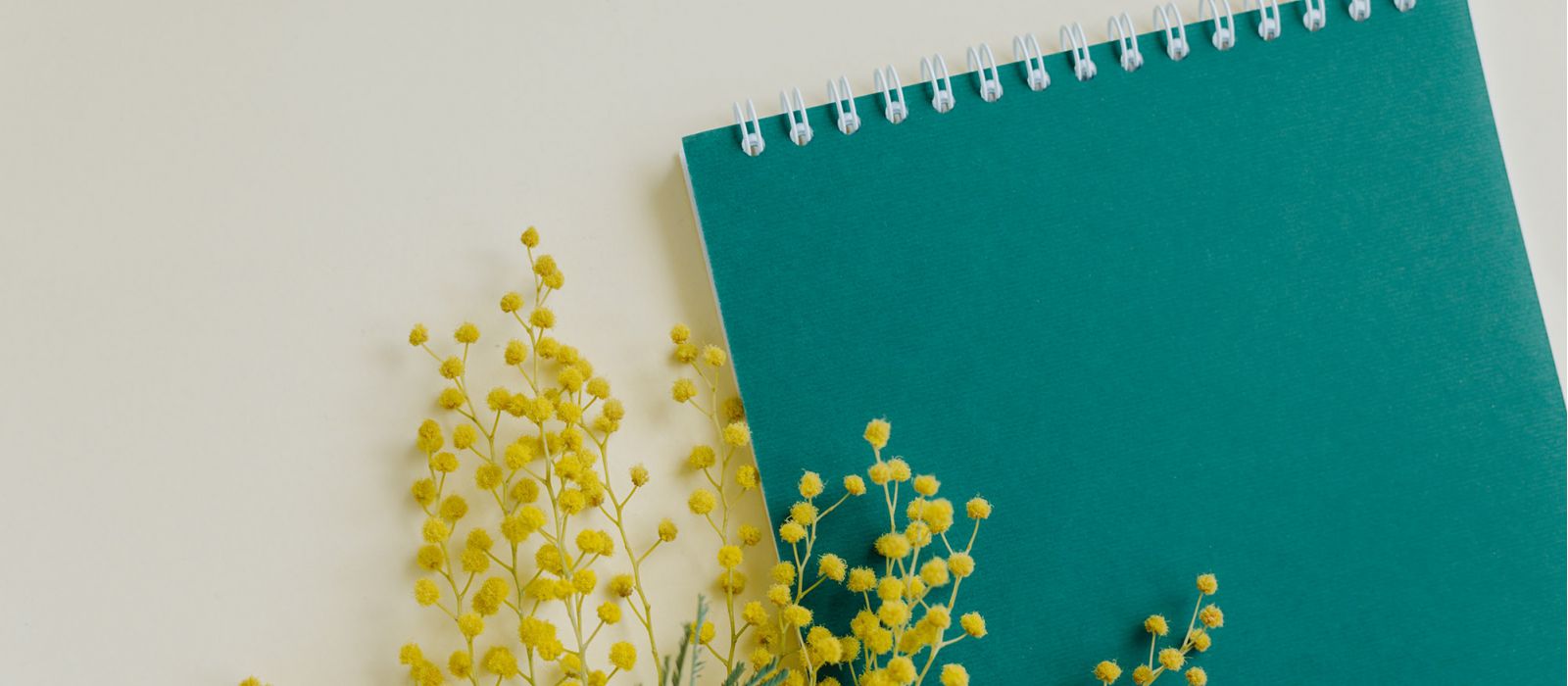 green notebook with yellow flowers