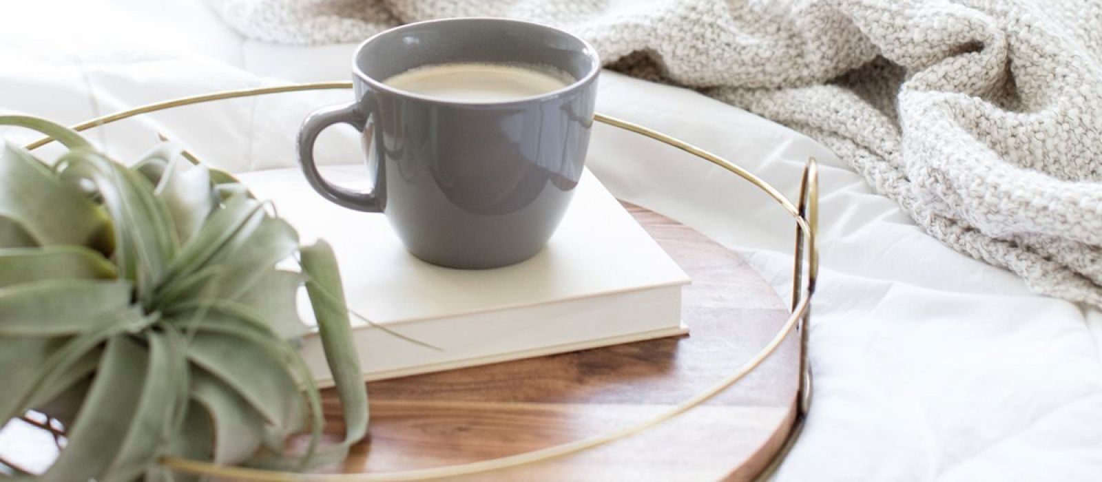 close up of small tray with coffee cup sitting on a book and a small house plant