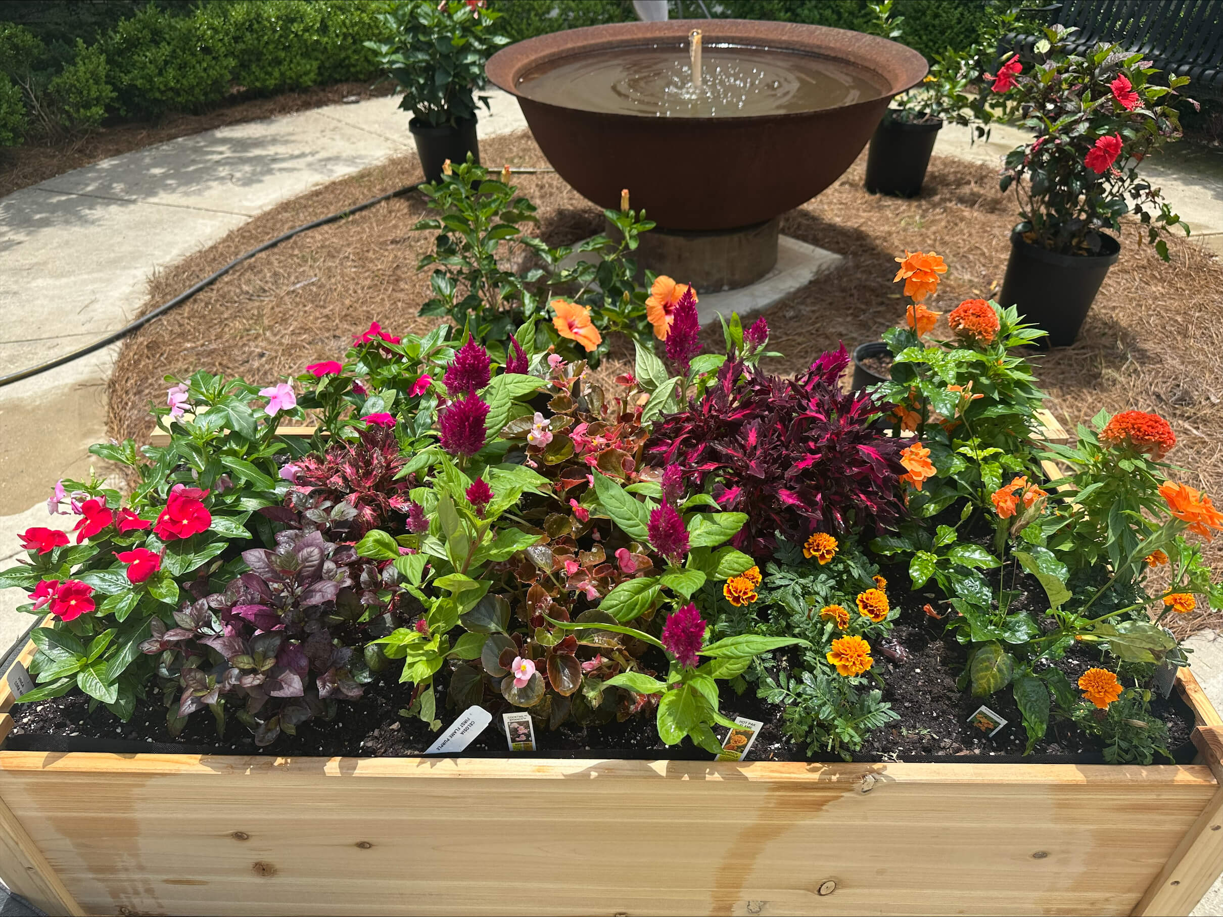 A wooden planter box filled with colorful flowers sits near a fountain in a sunny garden.