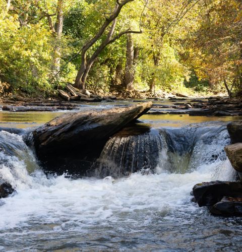 Brickmont at Johns Creek  Early fall foliage surrounding the beautiful and serene Chattahoochee River in Johns Creek, Georgia