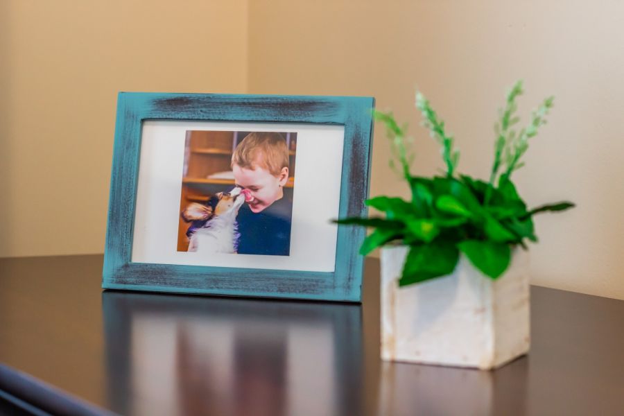 framed photo and faux plant on a table