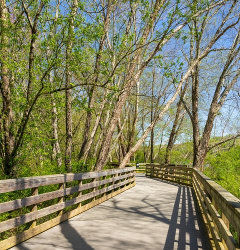 Brickmont at Roswell  Riverwalk boardwalk  along the Chattahoochee River in Roswell, Georgia.