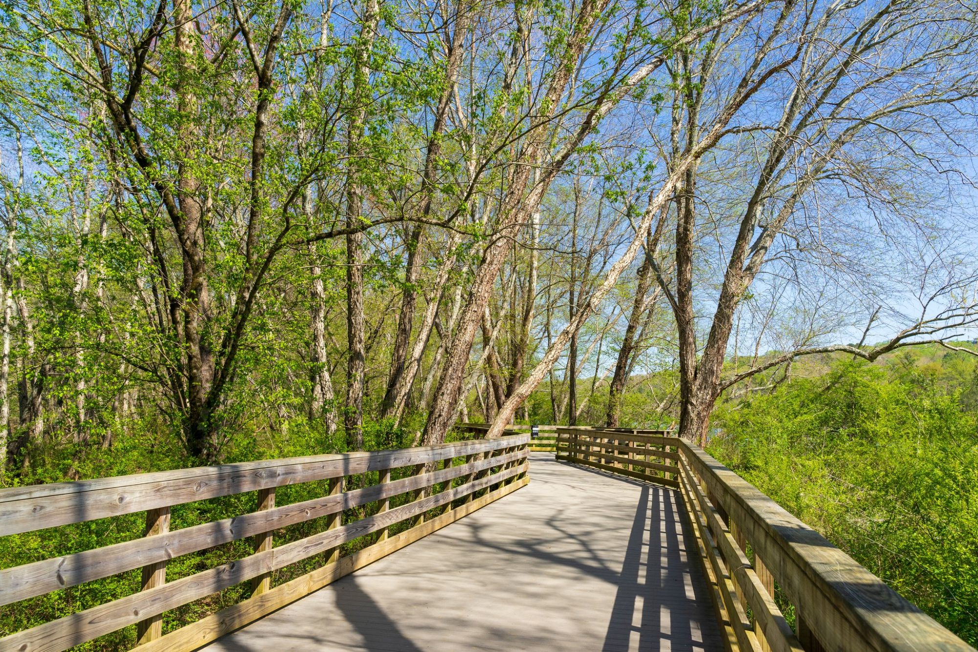 Brickmont at Roswell Riverwalk boardwalk along the Chattahoochee River in Roswell, Georgia.