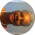 google profile photo