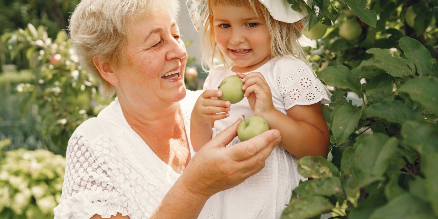 Smiling elderly woman and young girl picking green apples together in a garden on a sunny day.