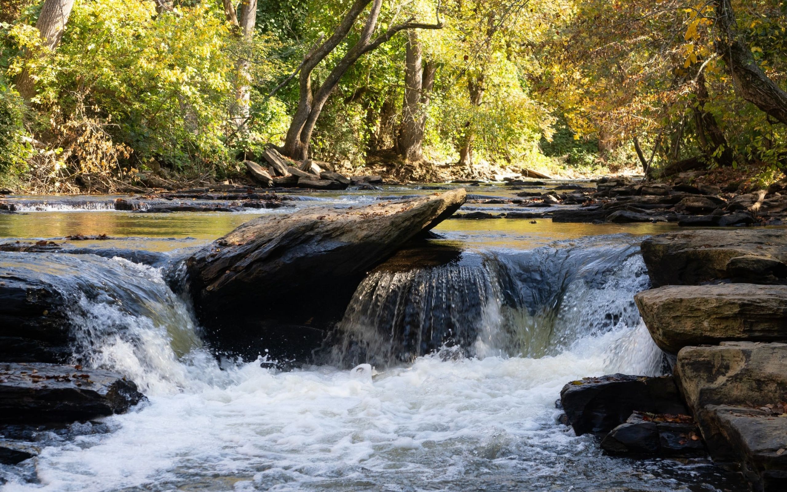The Claiborne at Johns Creek Early fall foliage surrounding the beautiful and serene Chattahoochee River in Johns Creek, Georgia