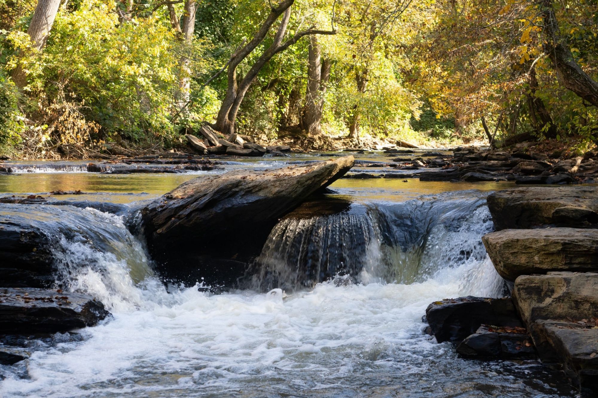 The Claiborne at Johns Creek Early fall foliage surrounding the beautiful and serene Chattahoochee River in Johns Creek, Georgia