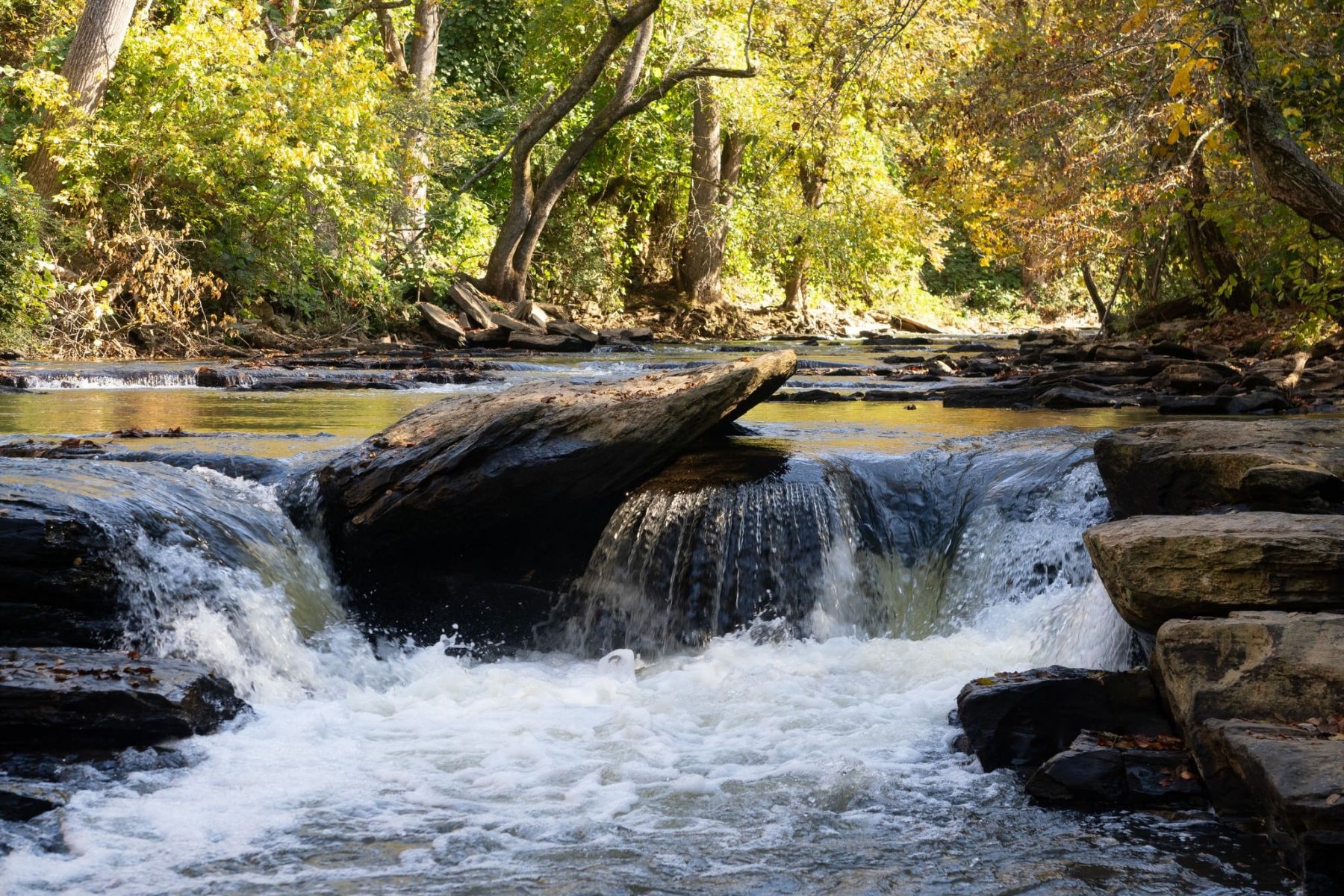 The Claiborne at Johns Creek Early fall foliage surrounding the beautiful and serene Chattahoochee River in Johns Creek, Georgia