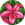 google profile photo