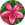 google profile photo