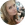 google profile photo