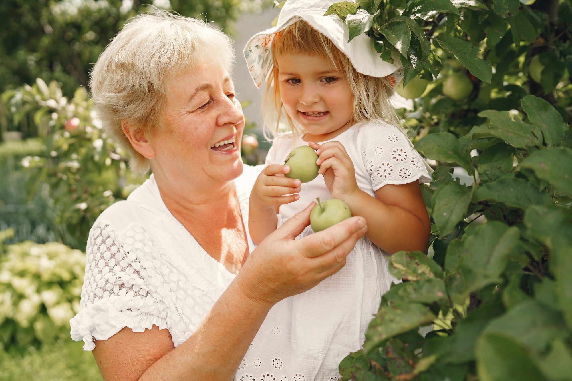 Smiling elderly woman and young girl picking green apples together in a garden on a sunny day.