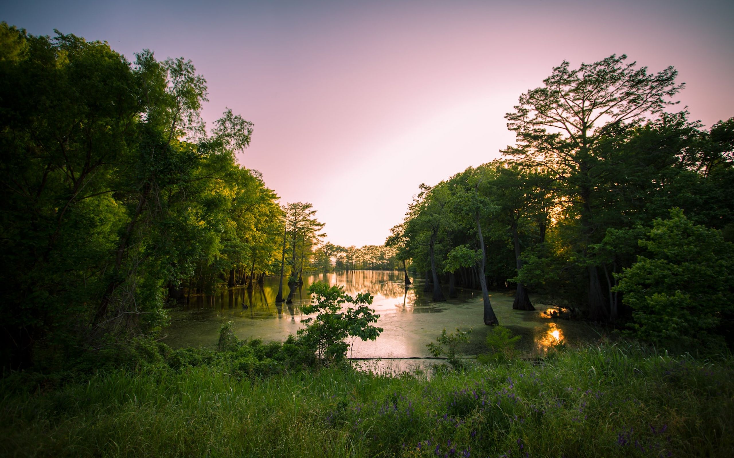 The Claiborne at McComb natural trails and water in Mississippi