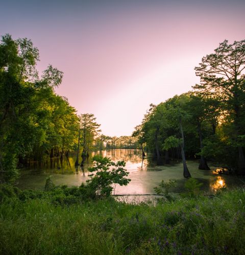 The Claiborne at McComb access to nature walking trails in Newnan, GA