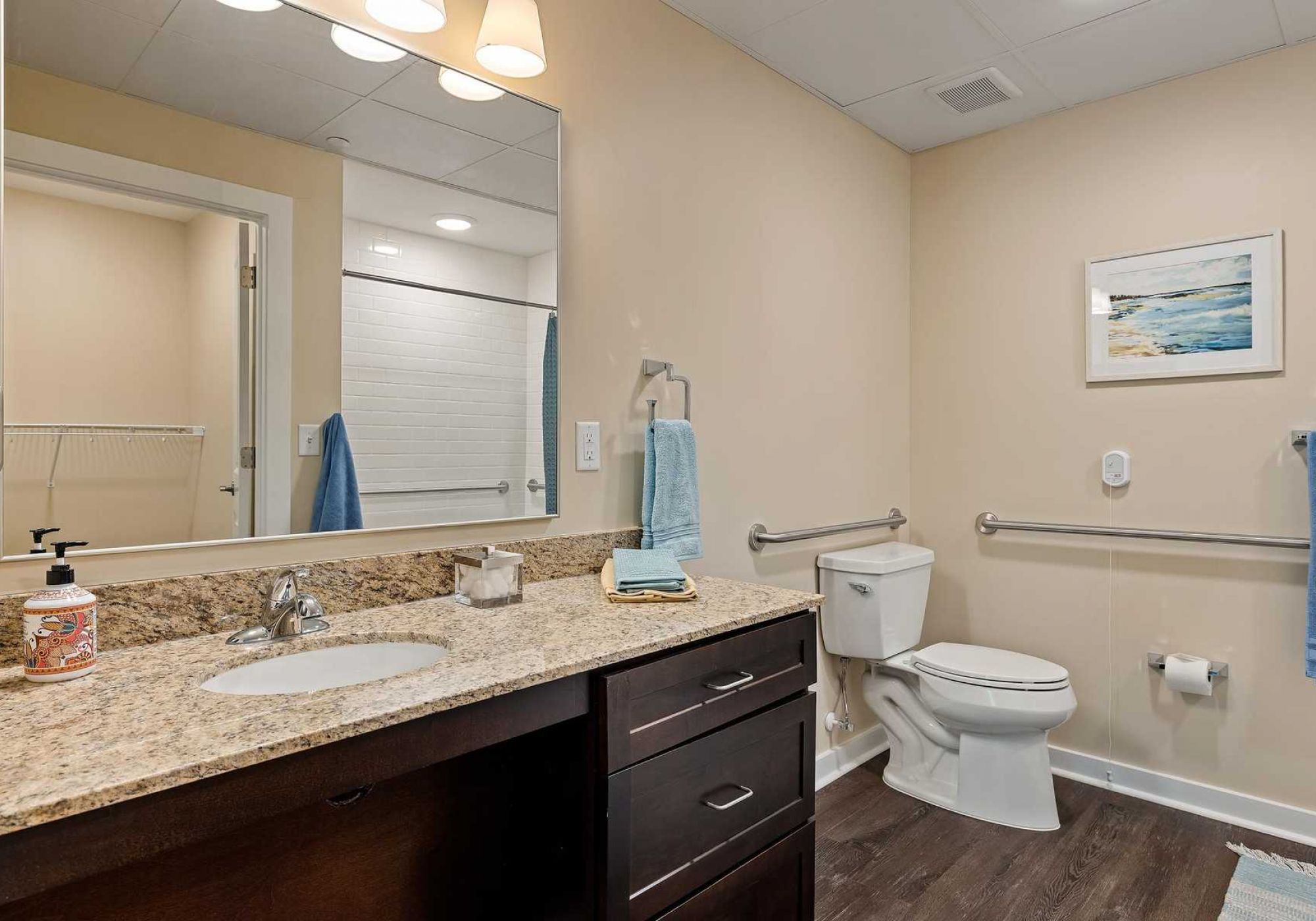 The Claiborne at Newnan Lakes senior living community bathroom showing accessibility features including handrails, lower sink height, and zero-entry shower