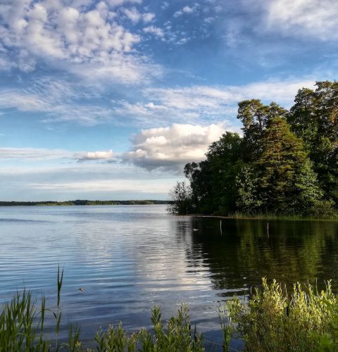 The Preserve at Meridian lake with surrounding trees on a beautiful sunny day