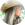 google profile photo