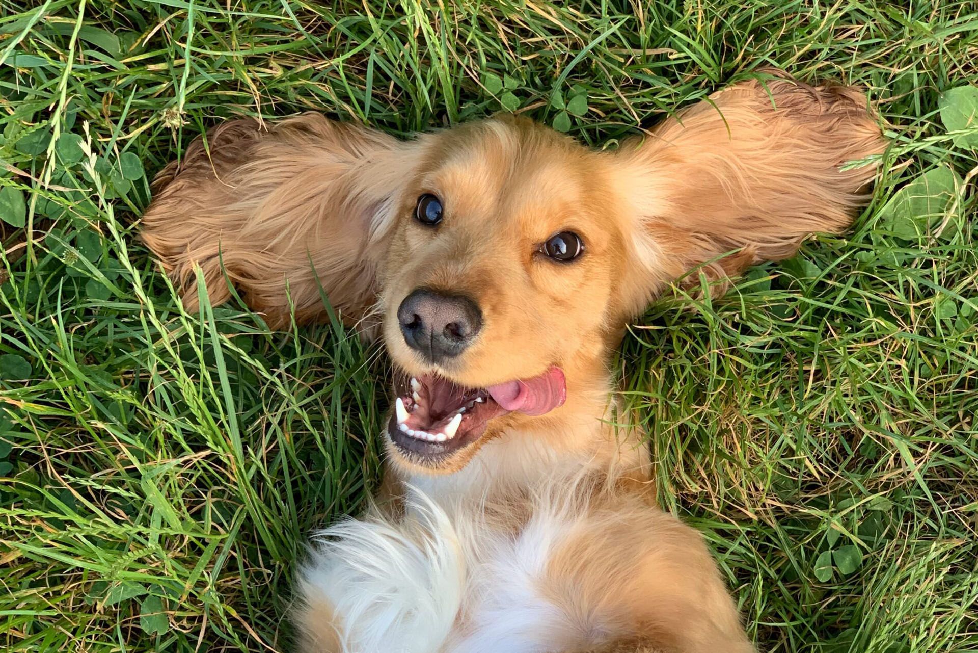 The Claiborne at Thibodaux employee walking with senior resident