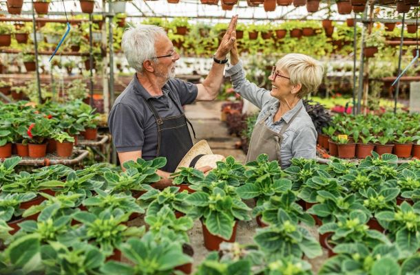 Two older adults in a greenhouse give each other a high five, surrounded by potted plants and flowers.