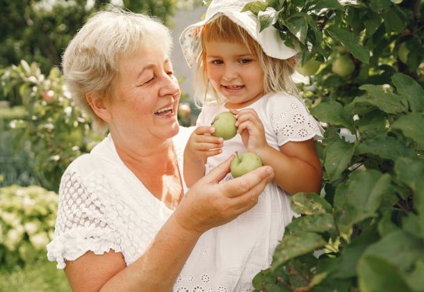 Smiling elderly woman and young girl picking green apples together in a garden on a sunny day.