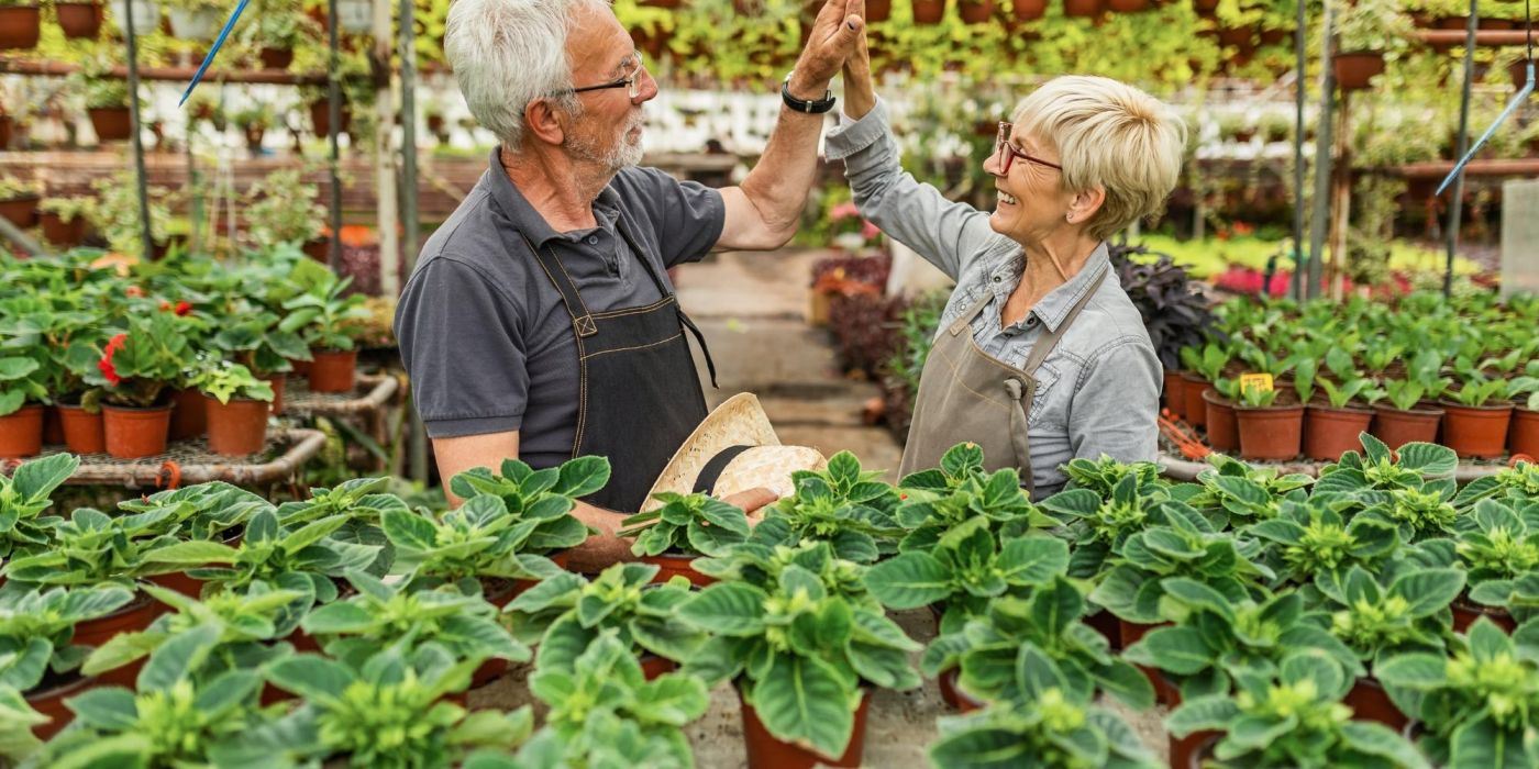 Two older adults in a greenhouse give each other a high five, surrounded by potted plants and flowers.