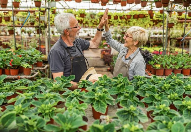 Two older adults in a greenhouse give each other a high five, surrounded by potted plants and flowers.
