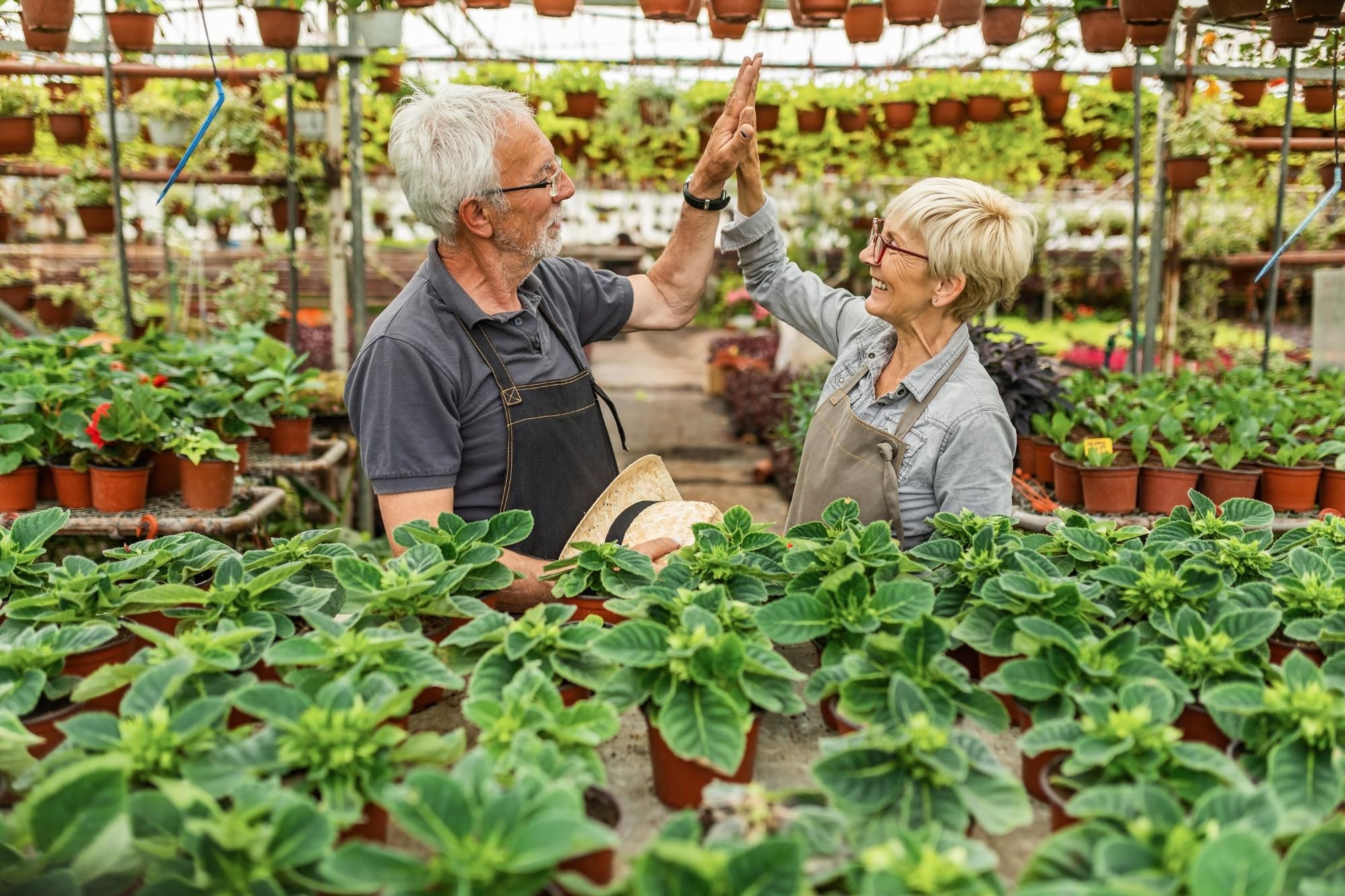 Two older adults in a greenhouse give each other a high five, surrounded by potted plants and flowers.