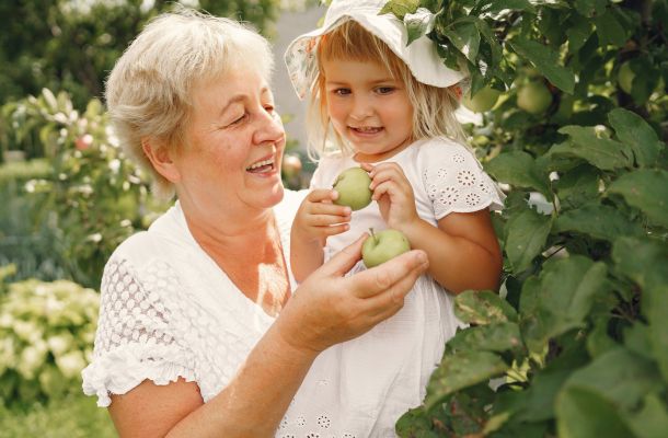Smiling elderly woman and young girl picking green apples together in a garden on a sunny day.