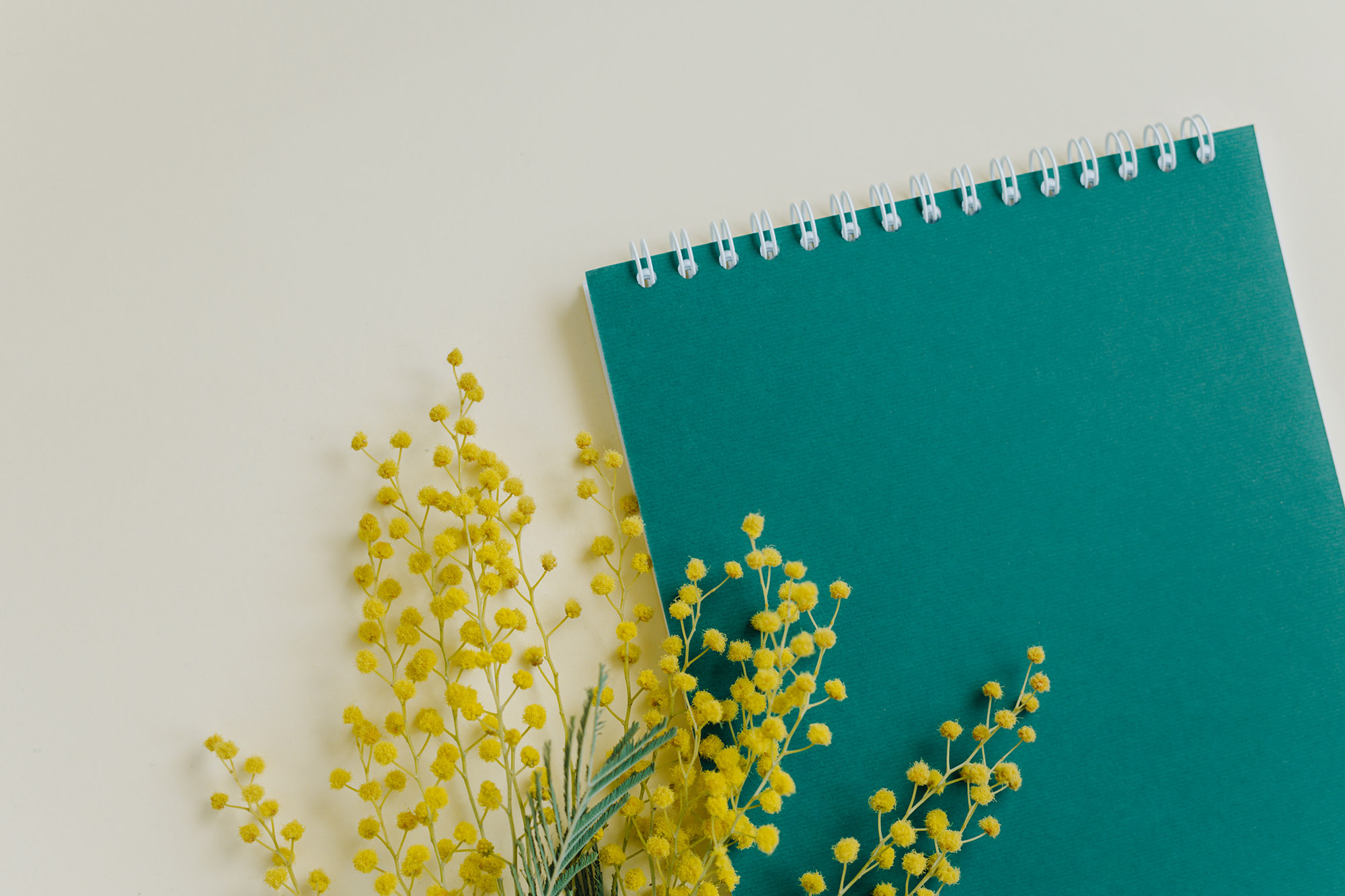 green notebook with yellow flowers