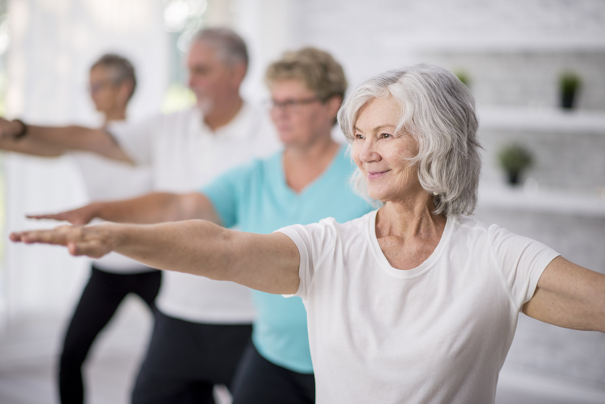 Group of active seniors in an exercise class